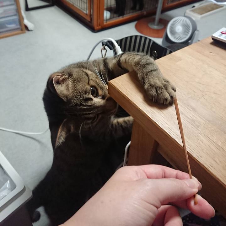 60b373b9 f79c 4903 81d6 97b4aaed12a5 1535004240530