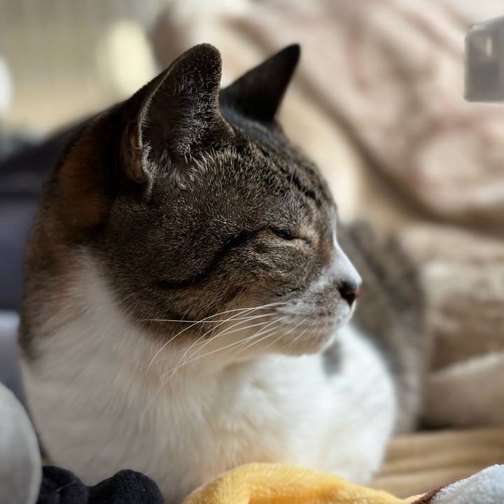 60b396be 3f72 4992 a987 8b65d3f1e21e 1681434456741