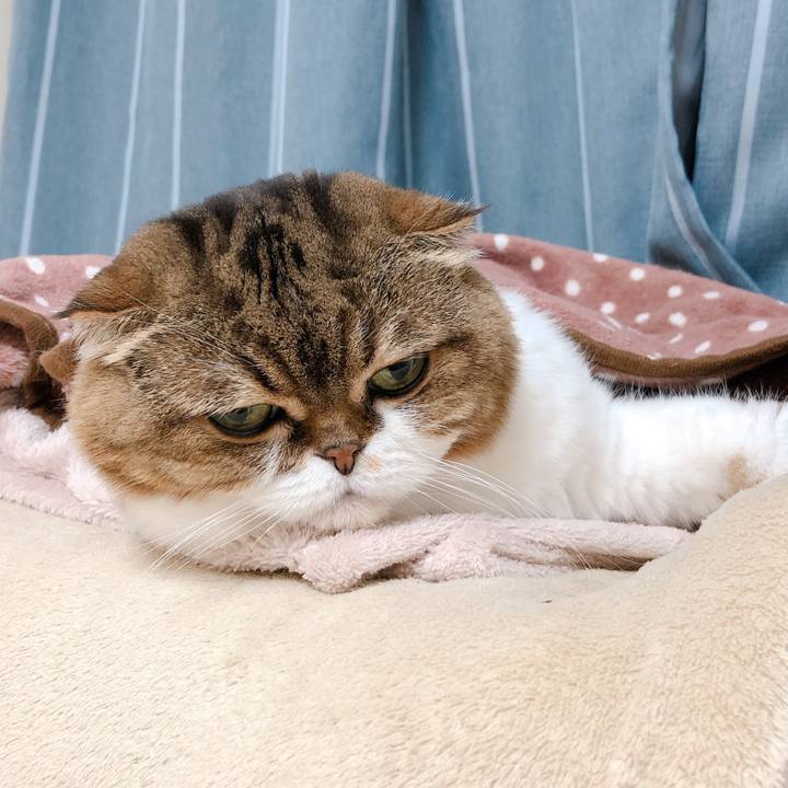 60b3eabe eba1 4585 94d5 f6bc62f7a3e3 1571755559847