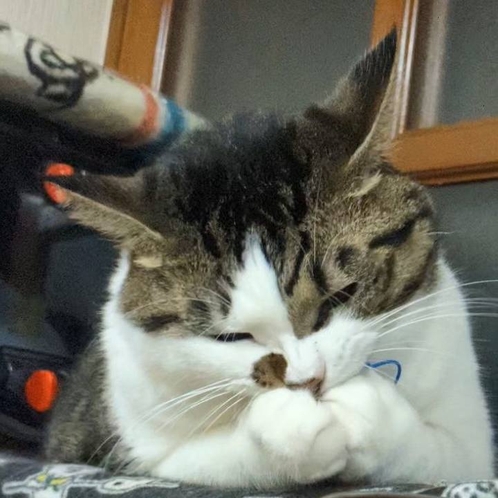 60b425e1 00ec 41bc b99c f4f1d2602852 1727436170092