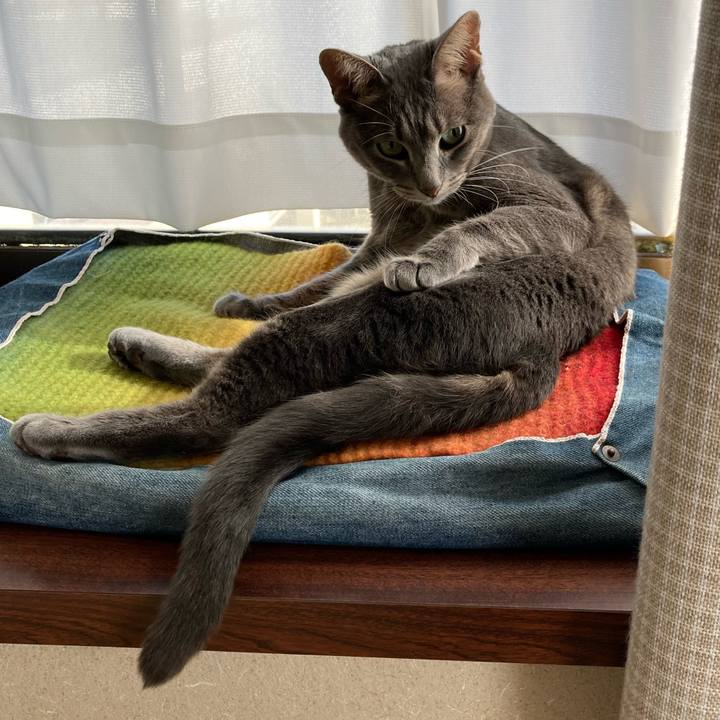 60b43947 e54d 4e90 8e29 c6ec72e29fca 1638327623323