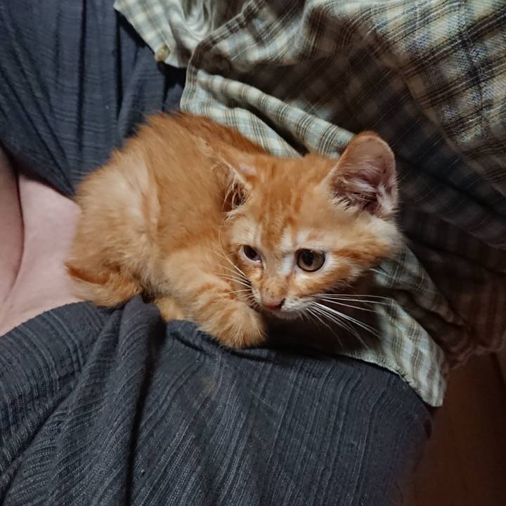 60b44e13 62ee 4e5e 9029 e63271c4ca2d 1628111537133