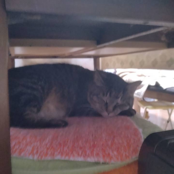 60b46742 8809 4e7f b17f 66375deb4ba2 1711576770559