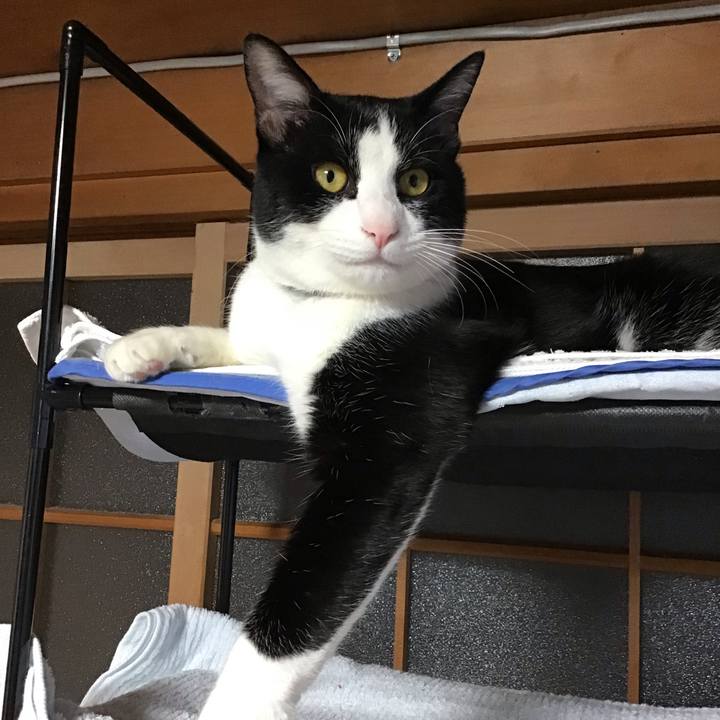 60b48bea 0168 4e4d 8443 6fbafd744529 1644569966562