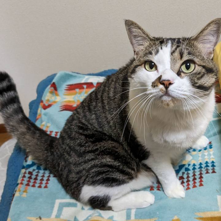 60b4a70d 4786 4b80 9708 246675d4c964 1691485609362