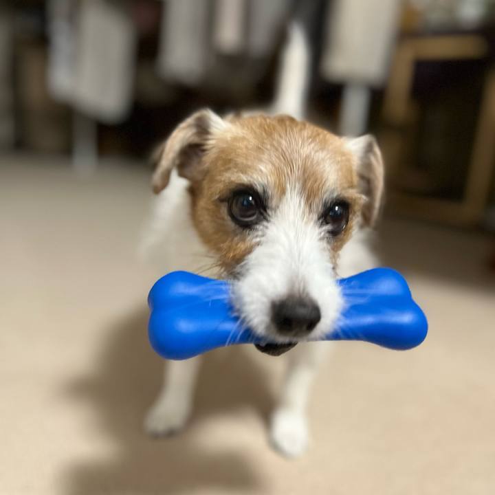 60b4b00a 40cf 40ad a1e4 9002b46fa20a 1762048041591