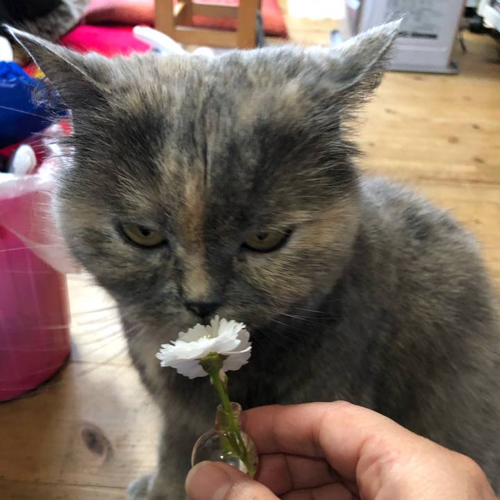 60b4b100 c0be 4356 bdaf 066c0f7c5a19 1773423262896