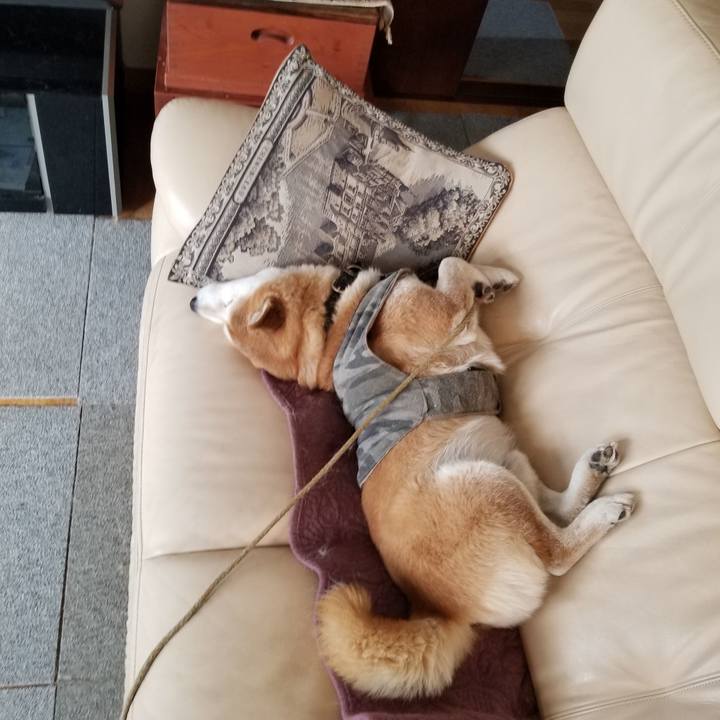 60b4d4bb 0778 4b85 9594 cb8f09f6b007 1645318919247