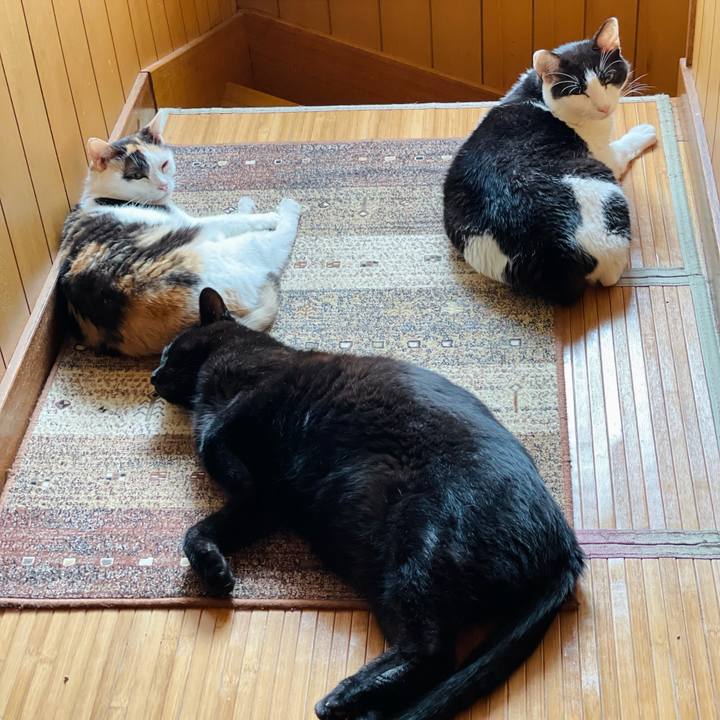 60b4ecf5 0f9f 40b1 b7be 1f5318c4b5e9 1631674788424