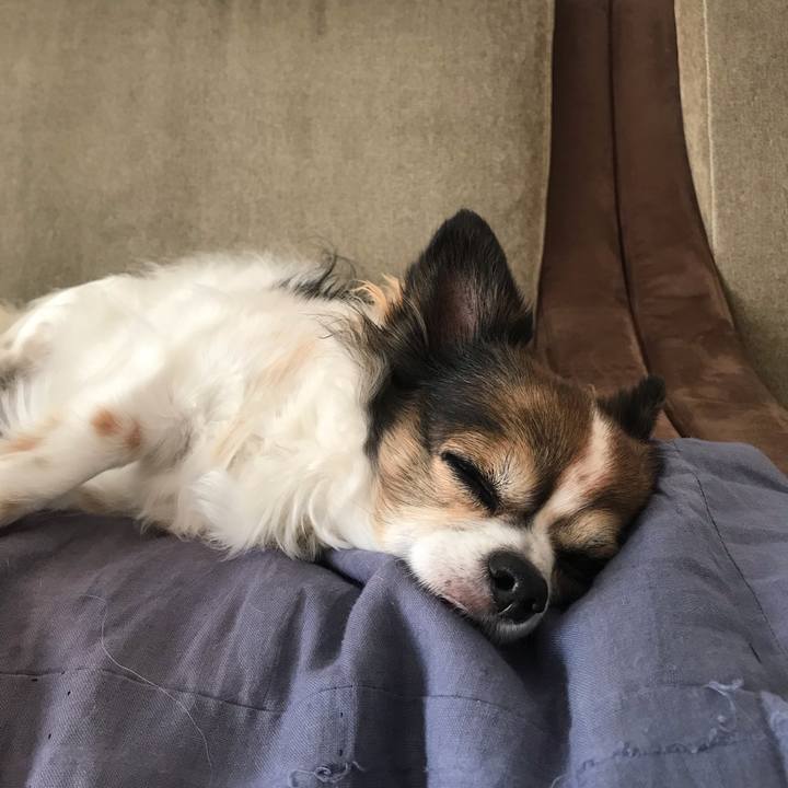 60b4f94f 482b 42b6 9508 44ceea5c75c0 1635476825748