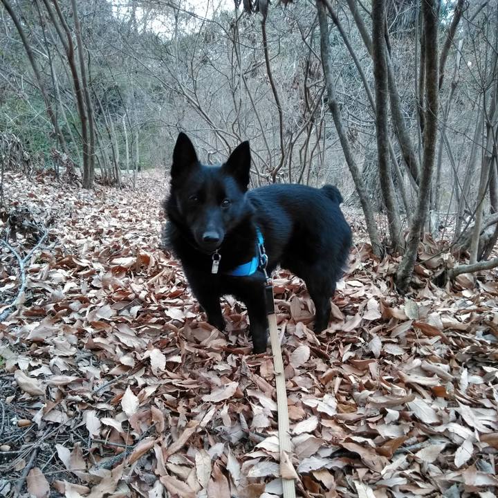 60b507ae e36d 4aef 8518 4f7d3d29915d 1551514021656