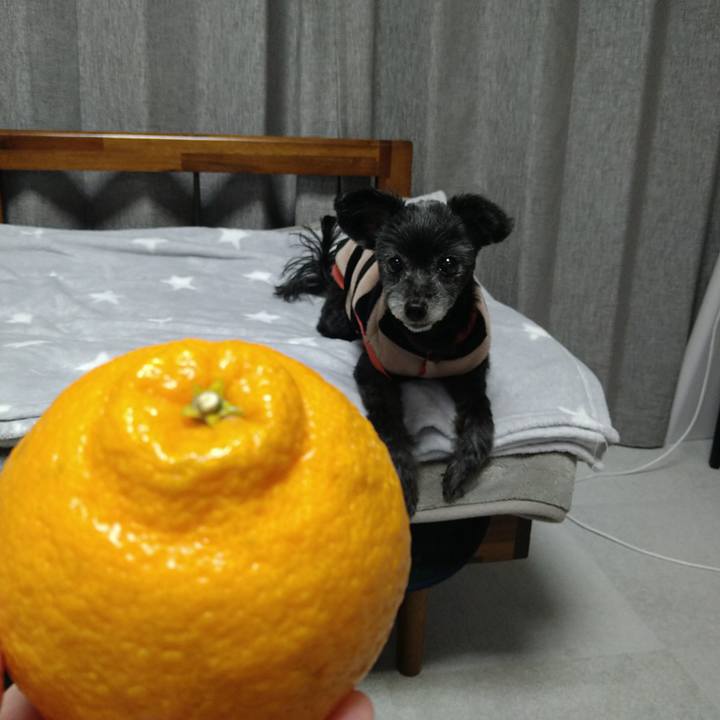 60b50e76 5bf1 44bf a92b 058864760b1e 1738928658008