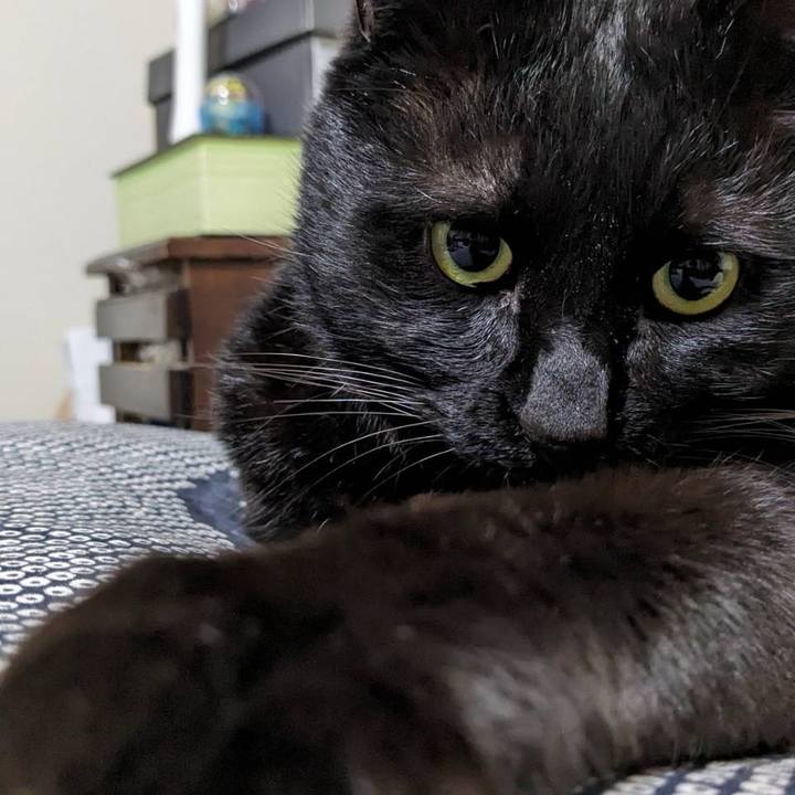 60b50e76 8ec9 4fa9 a5a5 0b596d9b2adb 1709510200976