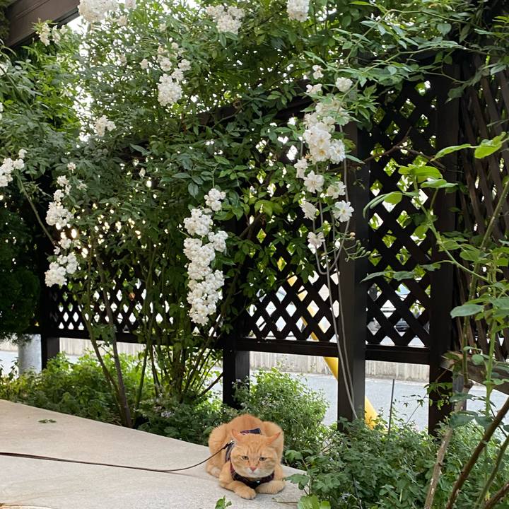 60b512c7 5575 43fe 9cc8 6b605c6a46ce 1627786170895