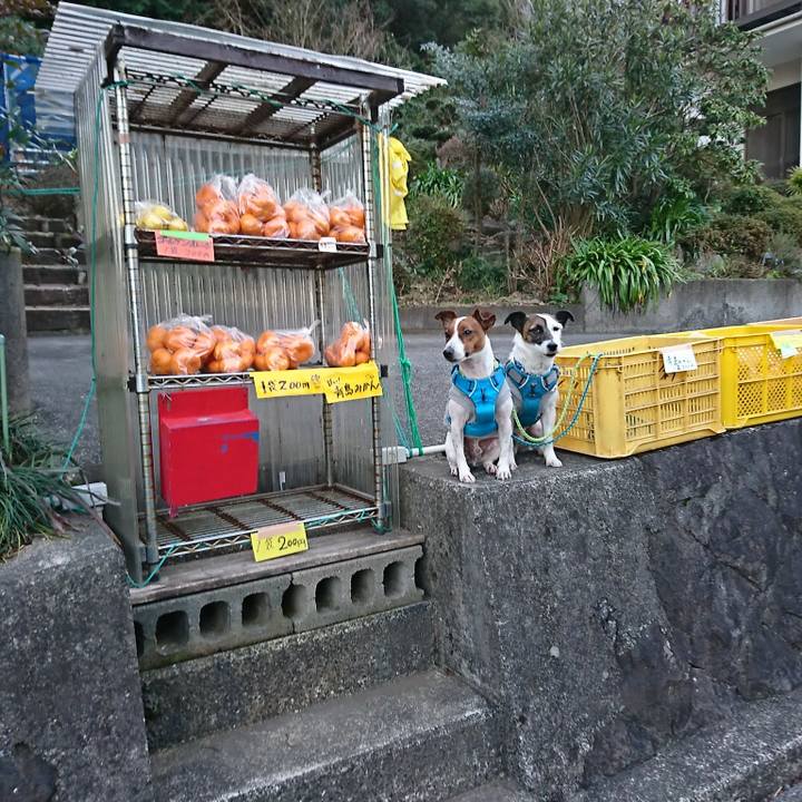 60b5276f acb5 4108 8d6e ded60e18012f 1582100454637