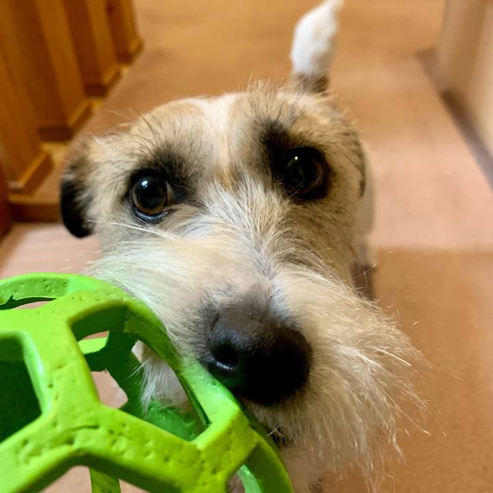 60b55510 7054 4209 9608 f18ee2324452 1646564259329