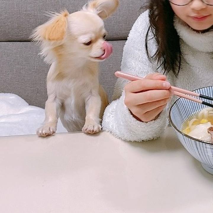 60b5973b ecf9 493a 9081 8da3aaf65250 1611972799331