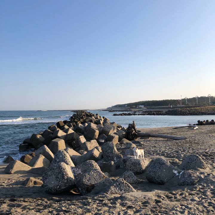 60b5b101 10c9 4fcf a492 2341cdd2e6a4 1605569510584