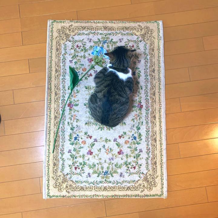 60b5dc3f b003 4ebe b1af dbce11ae7e36 1559486239977