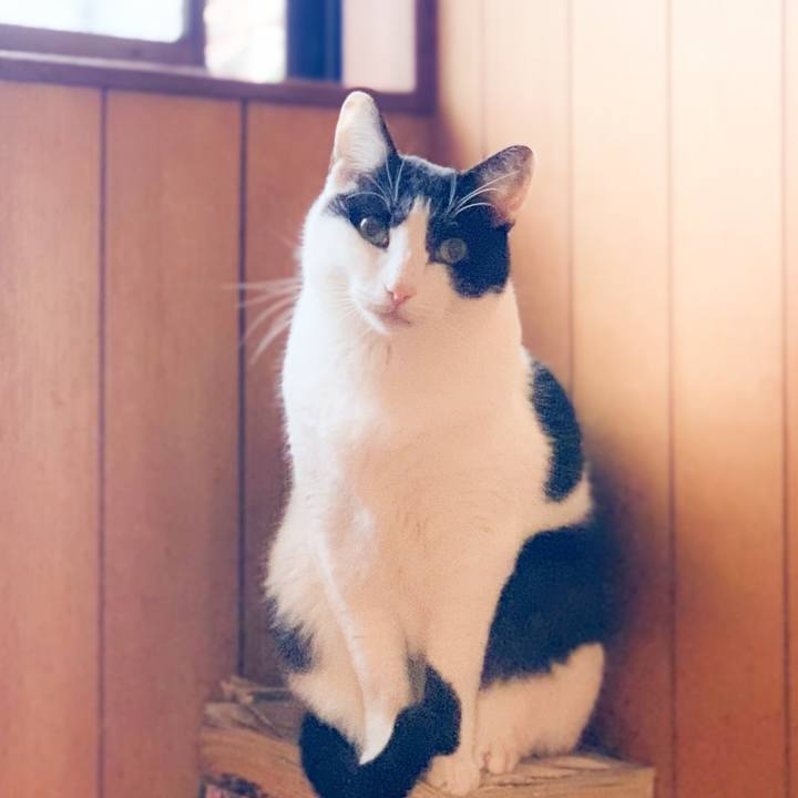 60b5de35 13f6 4ab4 be57 74016b39fc43 1579142973870