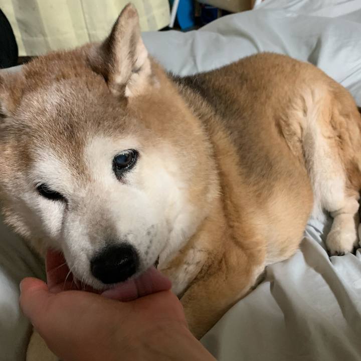 60b642eb fca5 4765 8352 79515e16d881 1648448929630