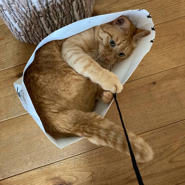 60b64765 8aea 4b42 8073 4c8dc4c37f98 1630713729655