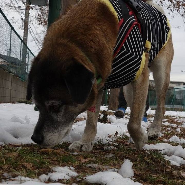 60b6511e 7dcb 4963 9a7b dd4552b239bb 1517103440298