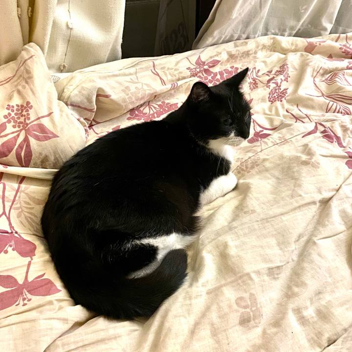 60b662e9 bafe 4acd aa10 b0f41c00b3f0 1626065416567