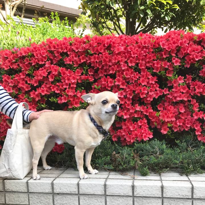 60b70f27 9ca3 458f b0f3 af3dad74edce 1523526990085