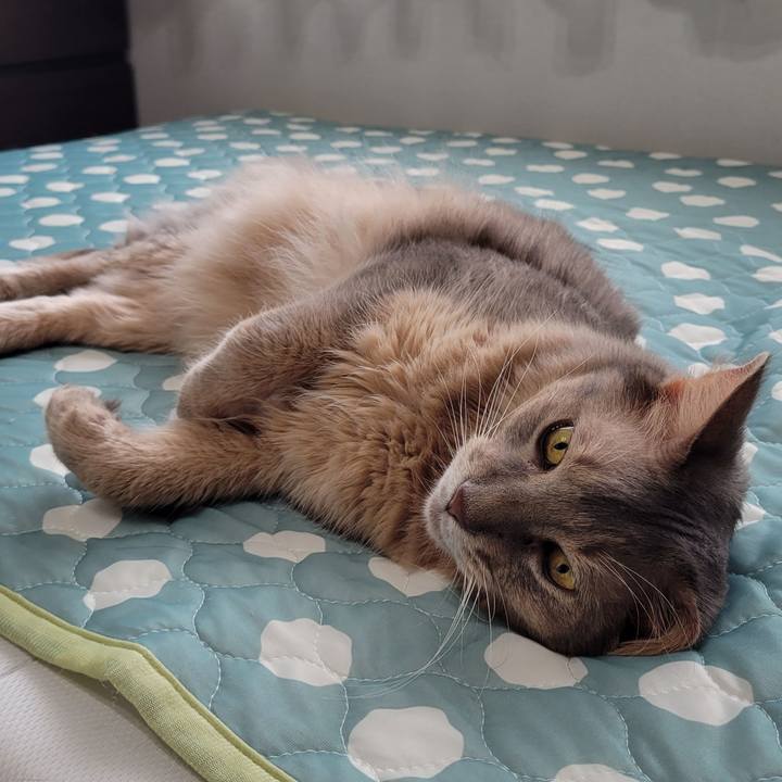 60b73510 8a09 4784 8e1a 917495c27948 1658206385598