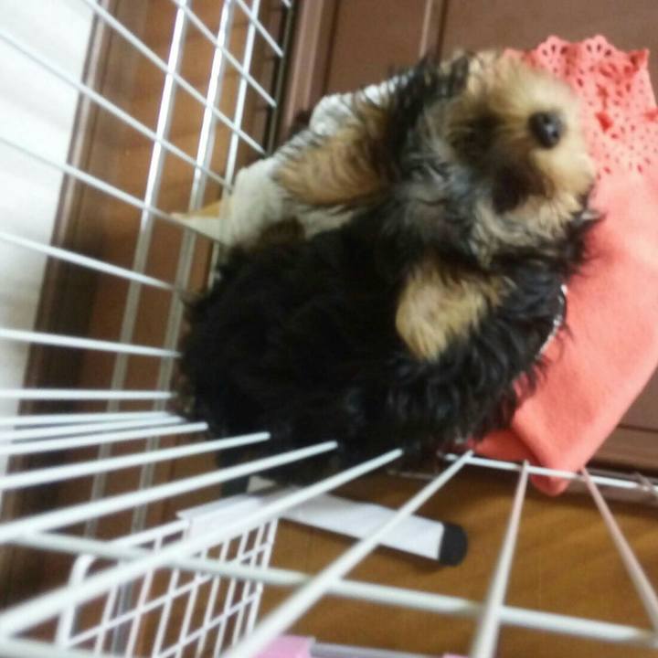 60b73715 72bb 4f45 9edf 6601e80def5e 1531719495870