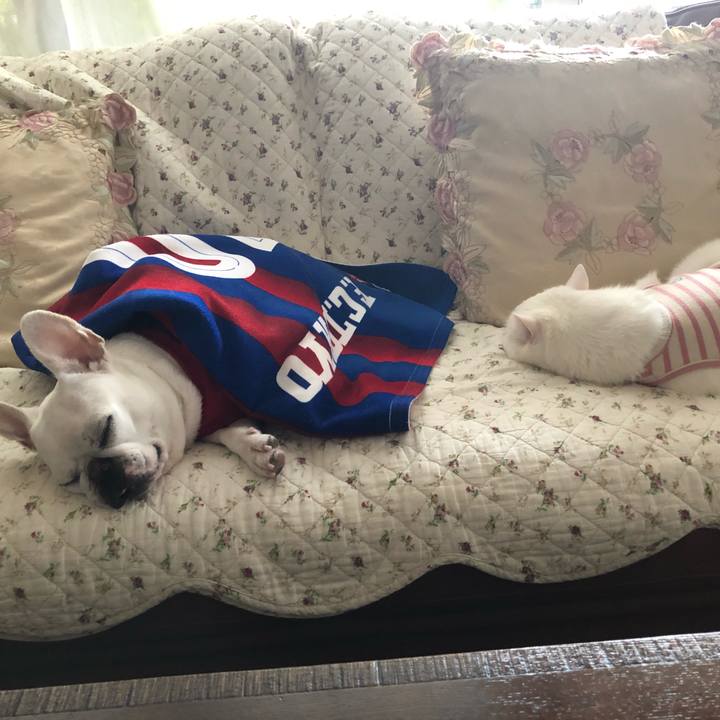 60b73cd3 dcef 4436 b492 ba8a69d80cbb 1603001024060