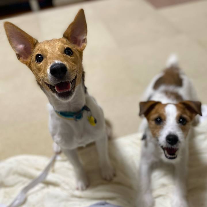 60b74199 0ff3 43cd 80e8 d4d95a0d1a8a 1755036398790