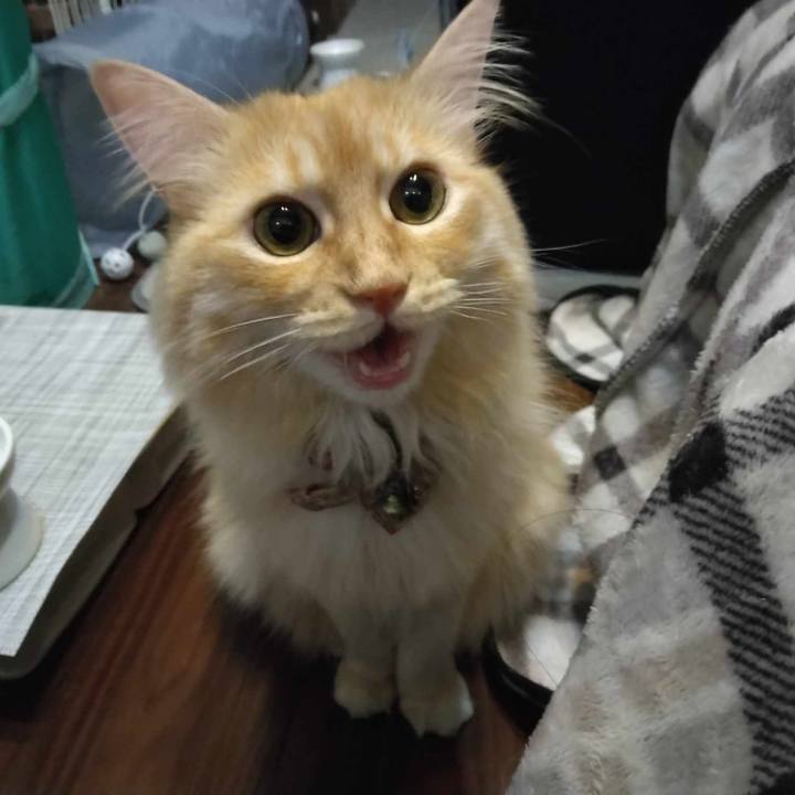 60b75136 6e4c 45ba 9525 decfdd4c1799 1690582293413