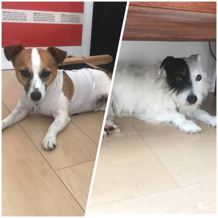 60b7623f 8b70 4bc6 897a 294c639c5196 1531181572796