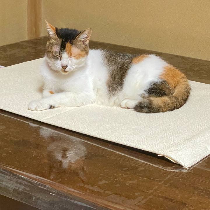 60b7a33d c893 4f4e 950f 0a729d3389f8 1633765941962