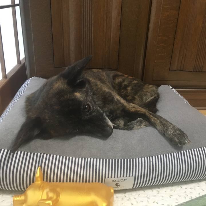 60b7a778 3f91 4b91 8a90 c949f6883213 1555998595863