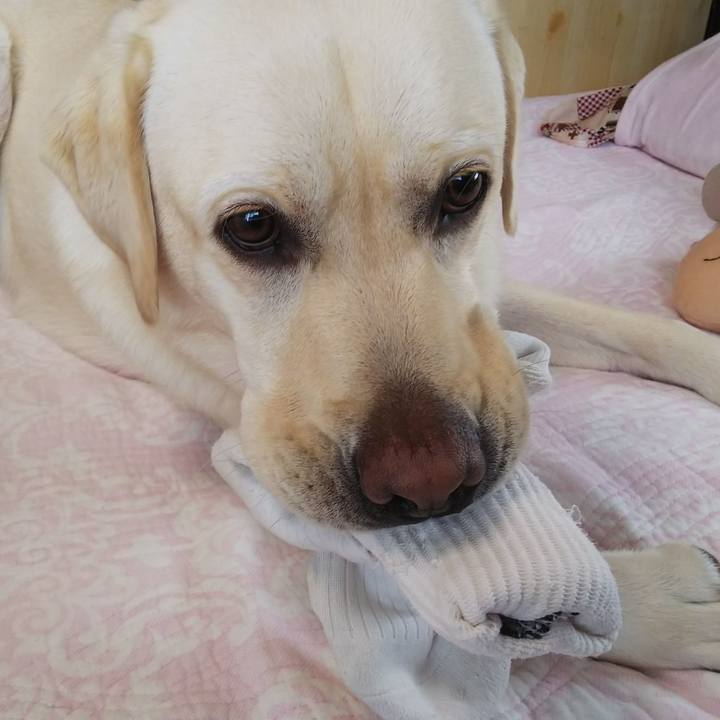 60b7b230 aafc 4038 8d98 153d79e6b01e 1532317735312