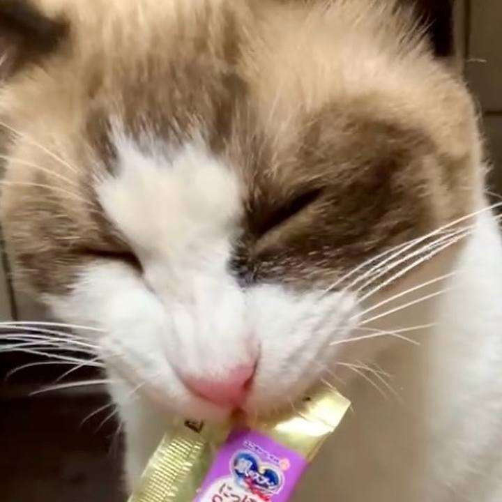 60b7bbde 3bf5 46a7 989b f283ec1ef2b0 1728033482170