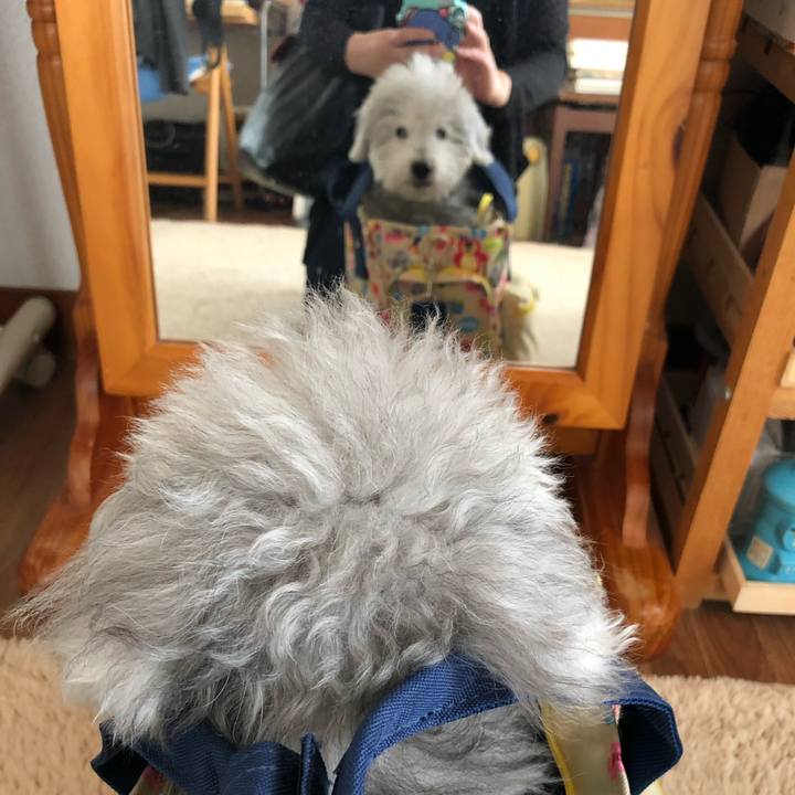 60b7c5d7 5003 4997 ba03 58e881a45628 1699835338056