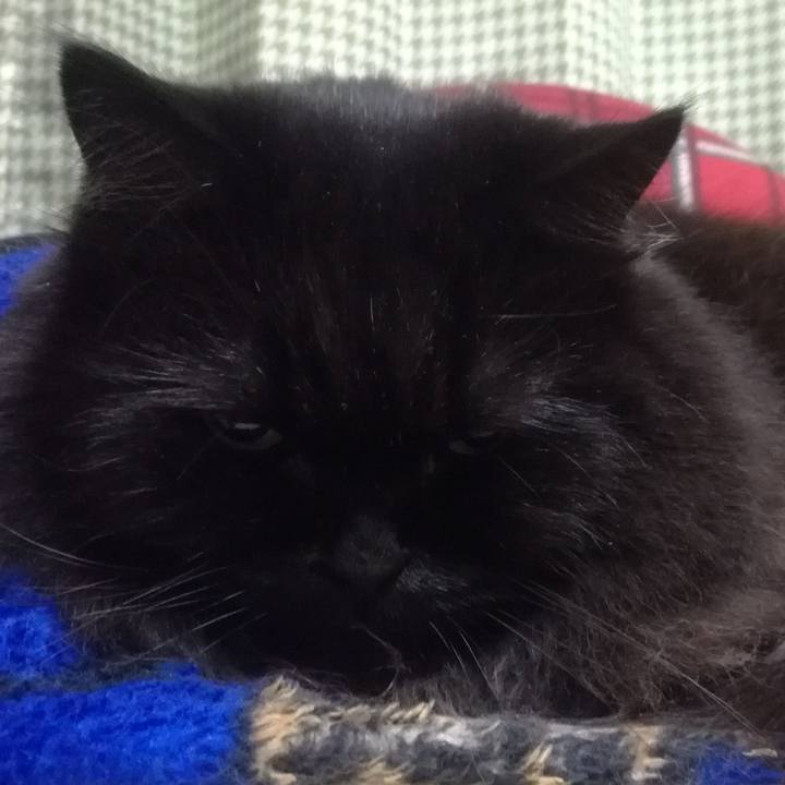 60b7c64e 5f25 43c6 b510 e8fc4ad769ad 1510915483121