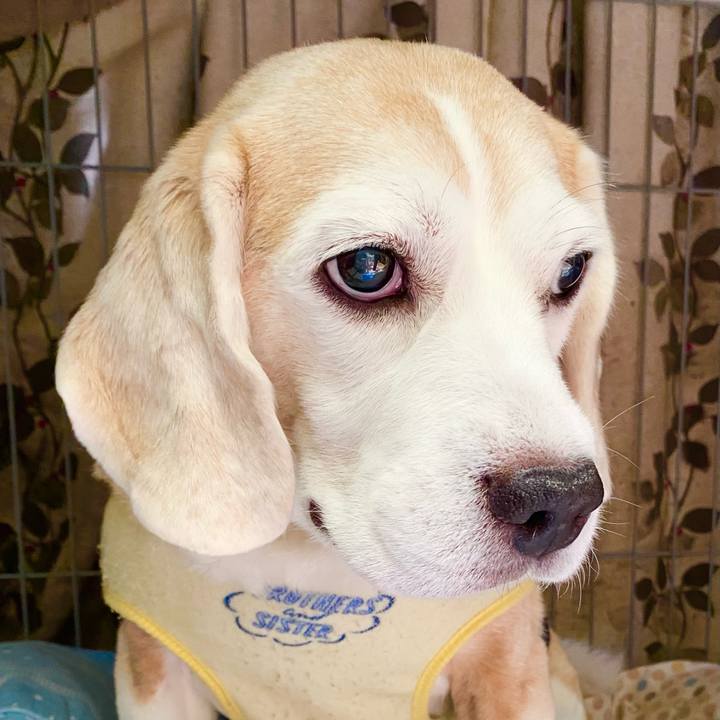 60b7e54f bce6 48ea b8b9 e7e8f3310725 1659238374019