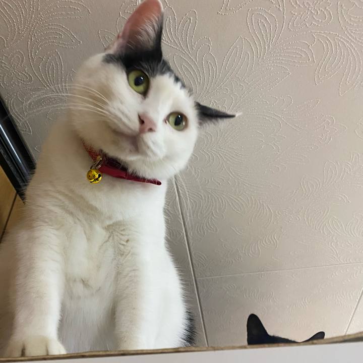 60b80a56 8f9e 4884 89d6 2033c46bd56f 1761653162272