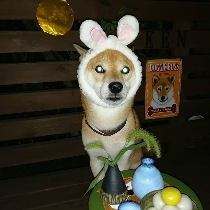 60b81d91 5d35 4bf9 bc72 59c2b520810d 1662801193345