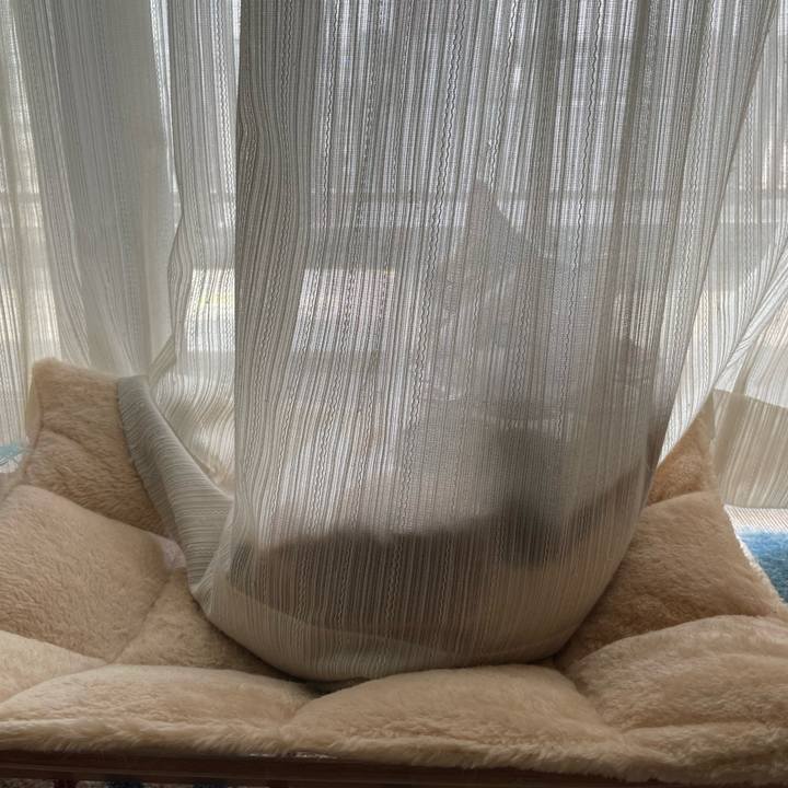 60b82bfc fe5d 42d4 8938 833544d617c1 1743067820183