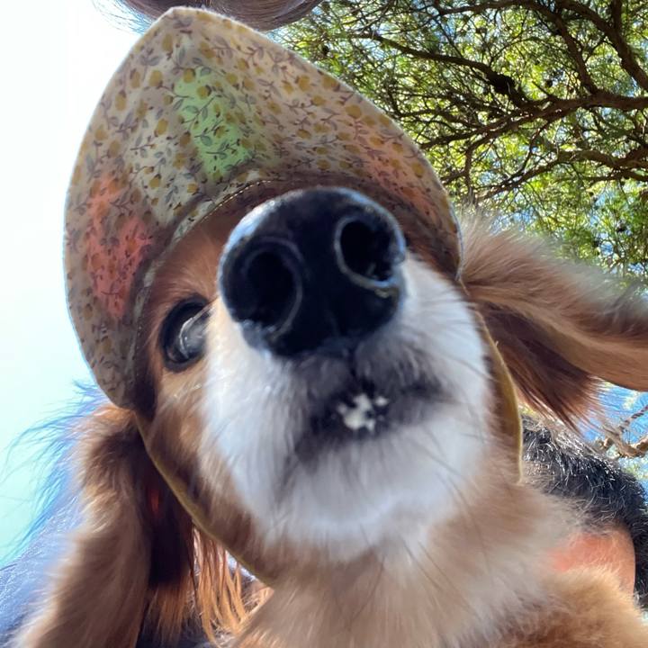 60b8538b b278 4a60 b9c7 e082fe4ed511 1664633763089