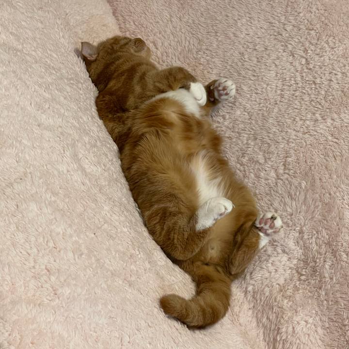 60b86505 69cd 40ba 836e fe94e40bb376 1735984070778