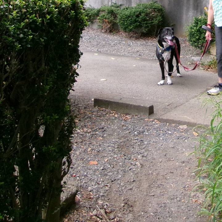 60b871a5 d69a 473c a783 d5cc6a22eec9 1754784904967