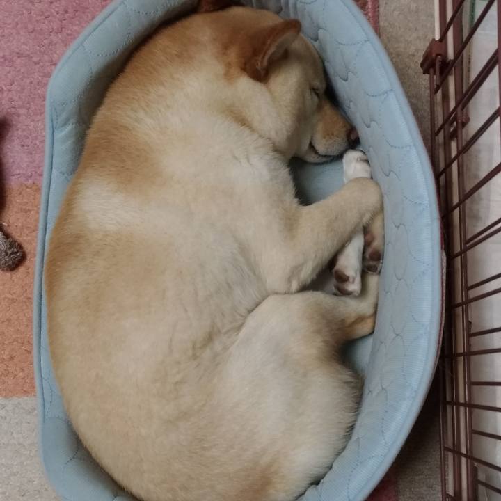 60b87a1b 5571 4c1a b481 f55649c1d112 1557144927005