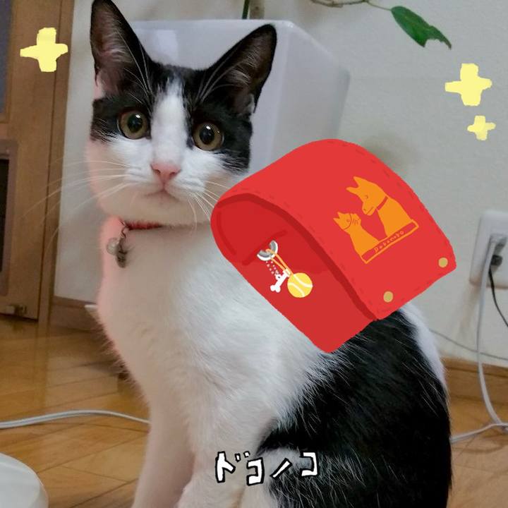 60b8c242 5b1e 4edd a501 429b2e0c1966 1744336865629